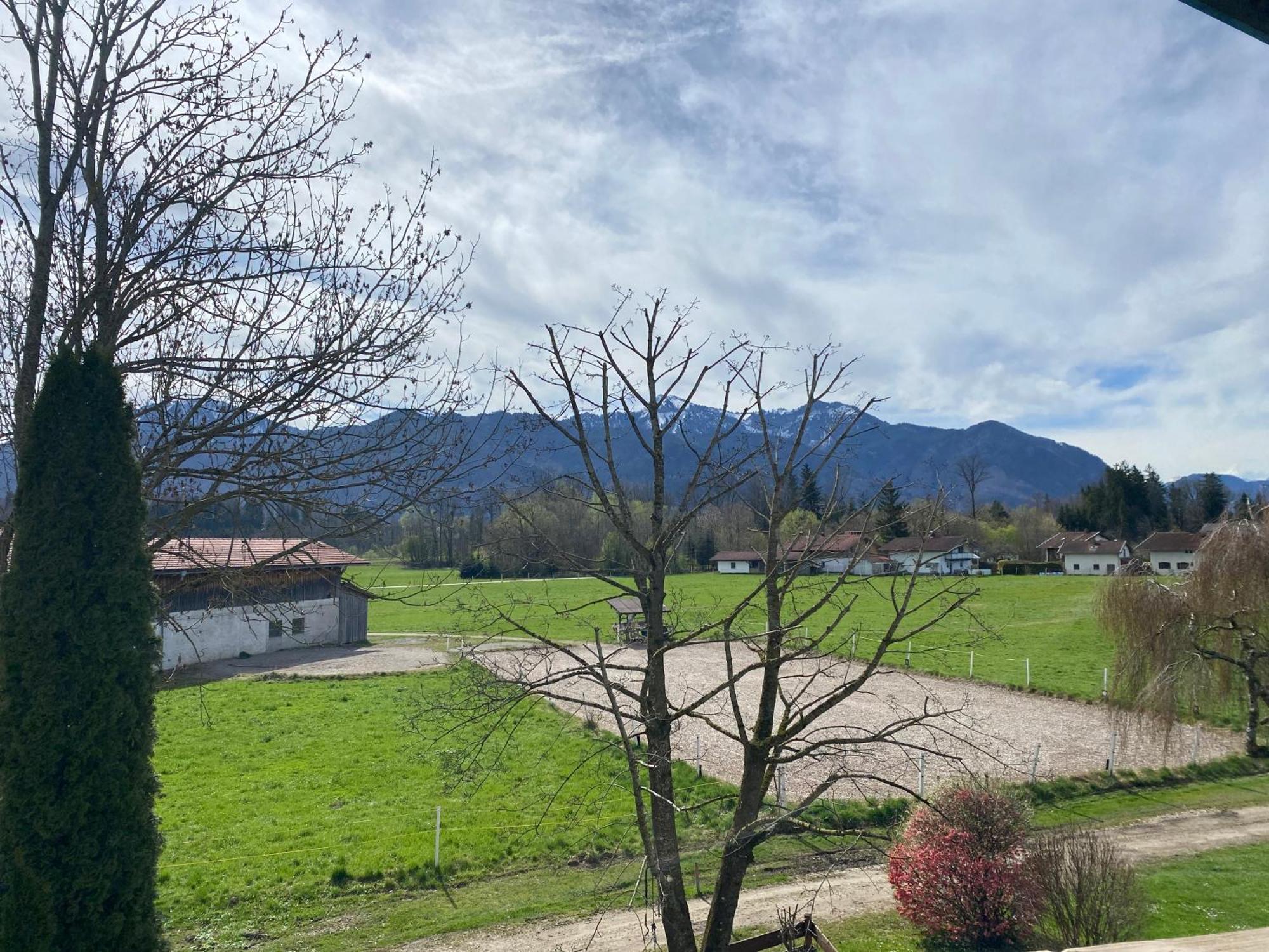 Appartementresidenz Konig Ludwig Übersee Eksteriør bilde